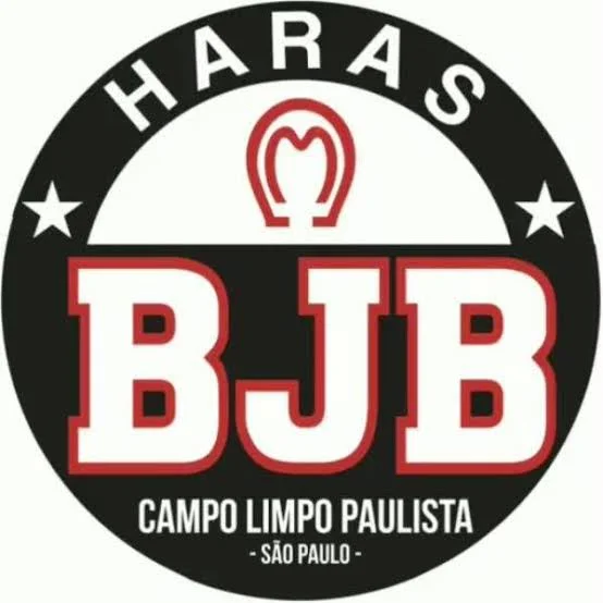 logo 20